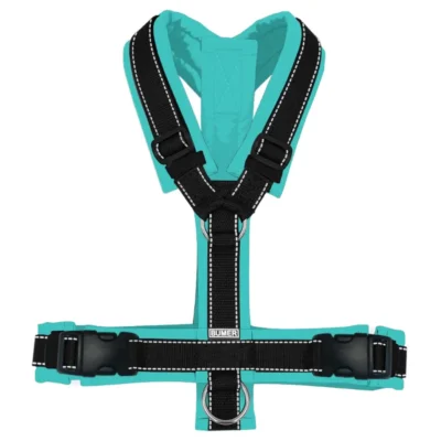 BUMER1000 TÜRKISTÖNE Hundegeschirr, gepolstert, (Softshell), komplett konfigurierbar