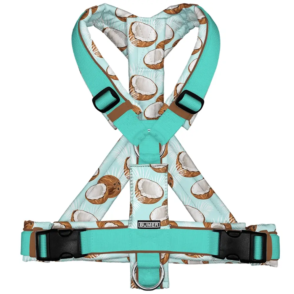 BUMER Hundegeschirr FRÜCHTE, gepolstert, (Softshell)