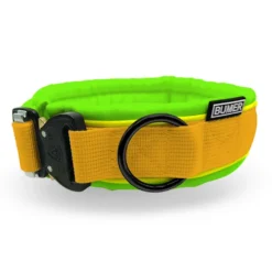 BUMER Hundehalsband, COBRA® Steckhalsband, Softshell