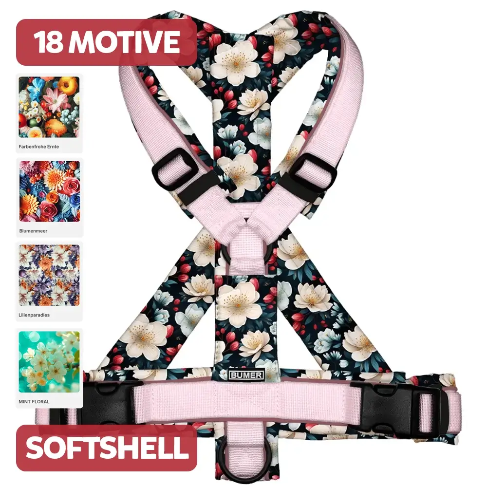 BUMER Hundegeschirr, BLUMENMOTIVE, (Softshell)