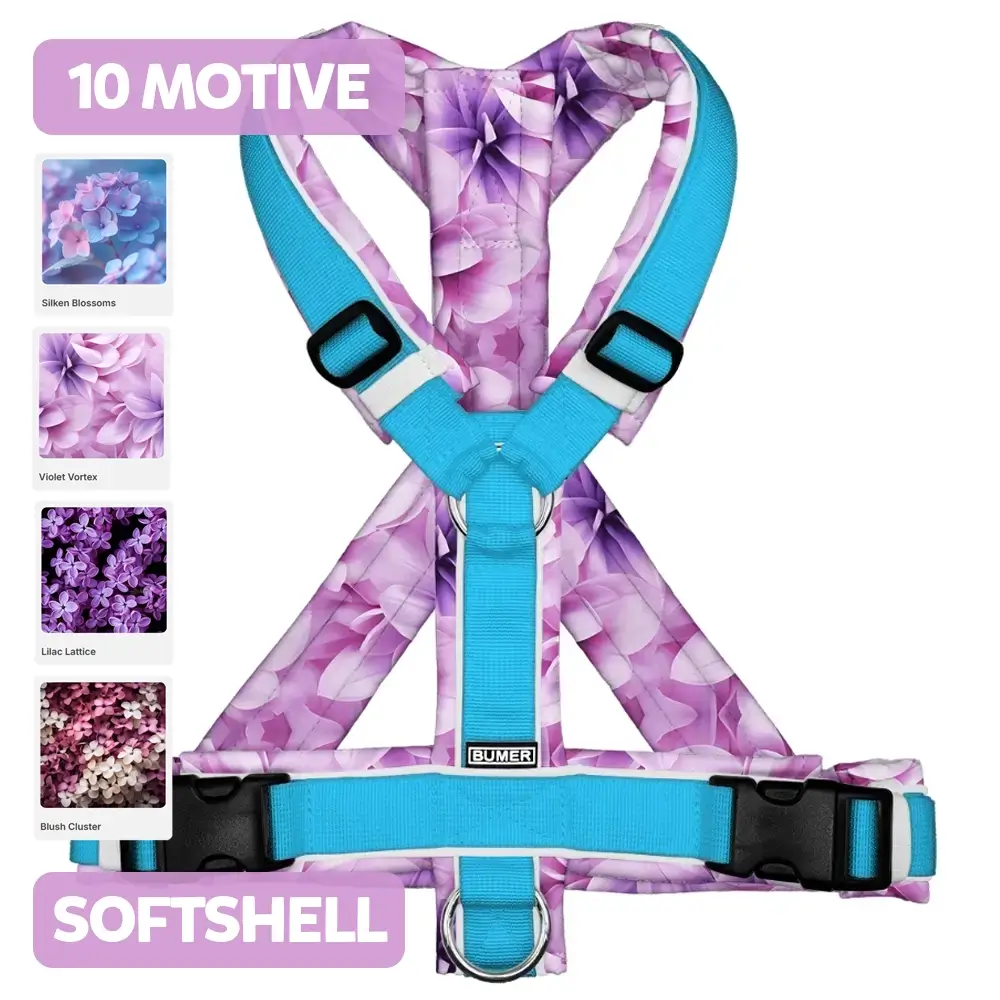 BUMER Hundegeschirr, FLIEDER, (Softshell)