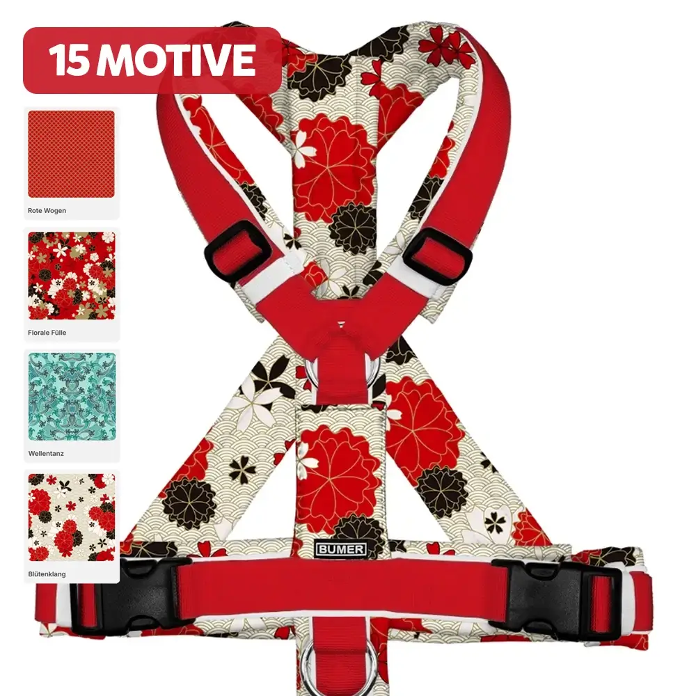BUMER-Hundegeschirr-JAPANISCHE-HARMONIE-gepolstert-Softshell-komplett-konfigurierbar-3.webp