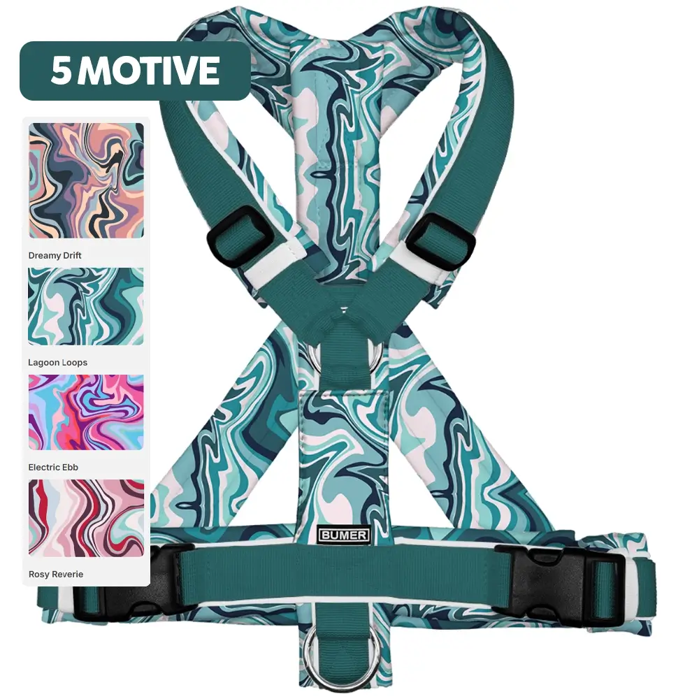 BUMER-Hundegeschirr-MARMOR-5-Motive-1.webp
