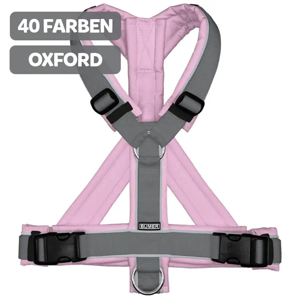 BUMER HUNDEGESCHIRR, GEPOLSTERT, (OXFORD), KOMPLETT KONFIGURIERBAR
