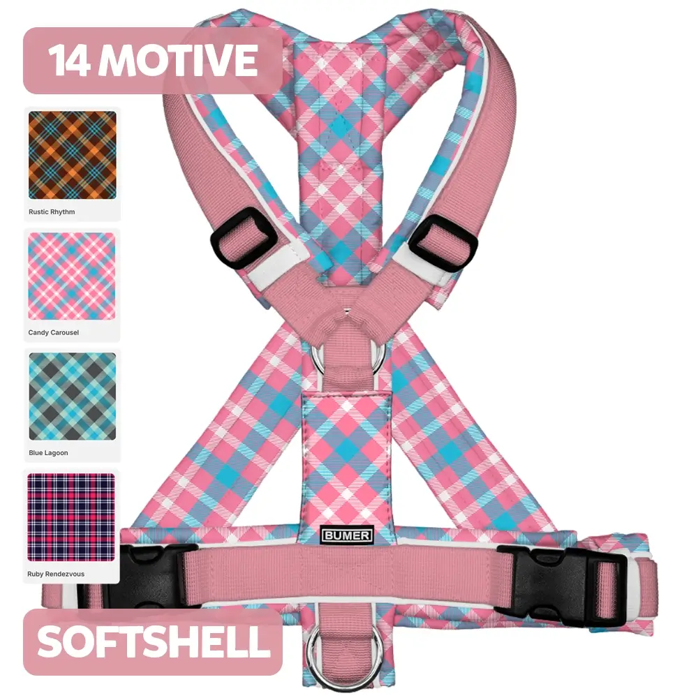 BUMER-Hundegeschirr-TARTANMOTIVE-Softshell