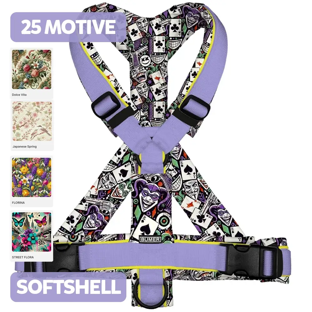 BUMER Hundegeschirr, gepolstert, (Softshell), komplett konfigurierbar KUNDENSUPPORT-KREATIV