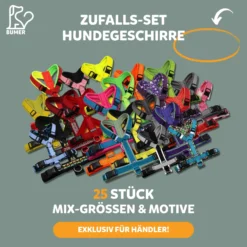BUMER Zufalls-Set Hundegeschirre – 25 Stück (B2B)