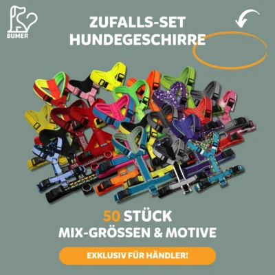 BUMER Zufalls-Set Hundegeschirre – 50 Stück (B2B)
