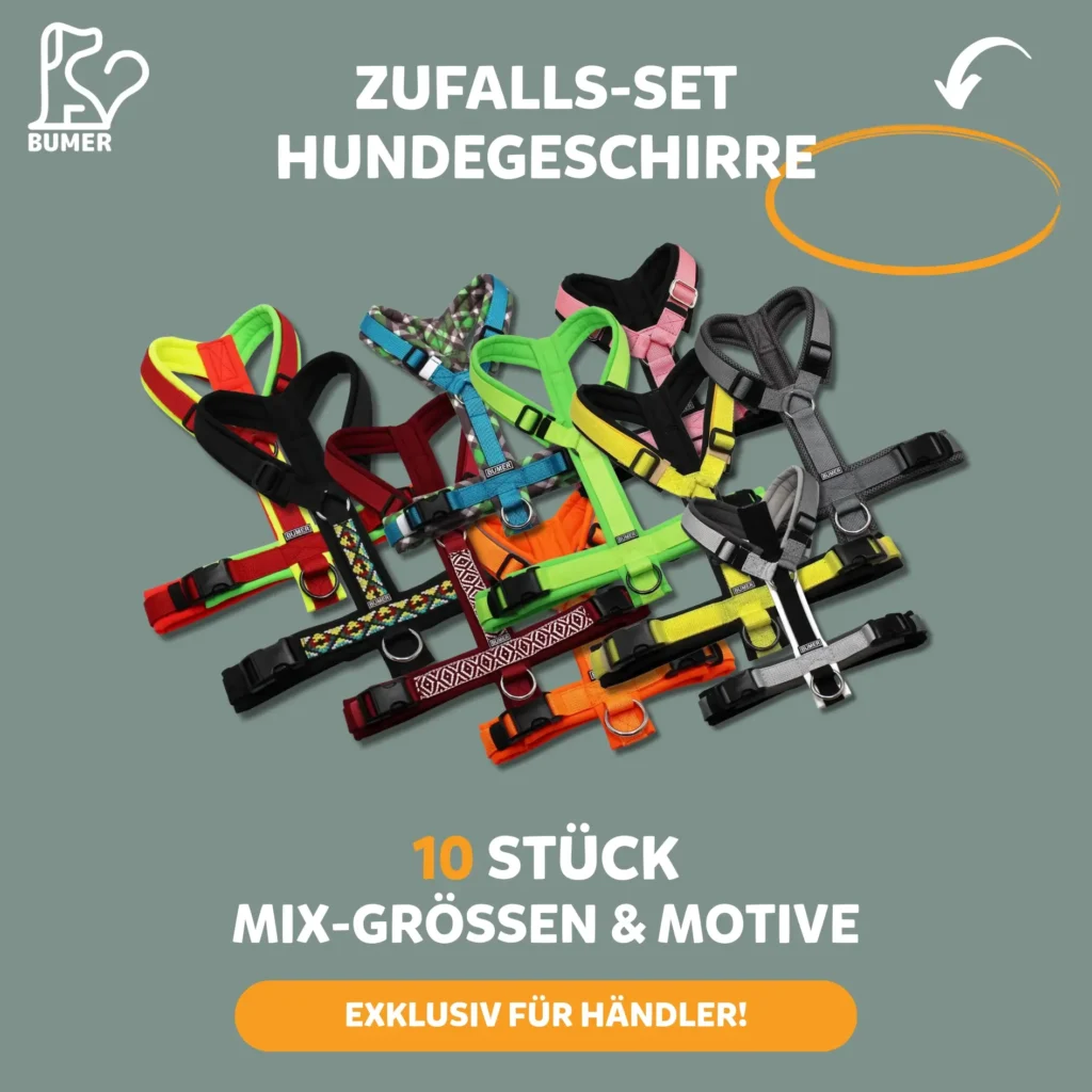 BUMER Zufalls-Set Hundegeschirre – 10 Stück (B2B)